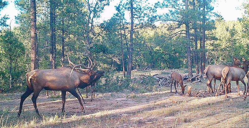 1st image of Elk Haven Rd