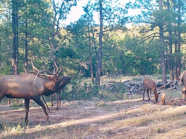 Elk Haven Rd, Ramah, NM 87321