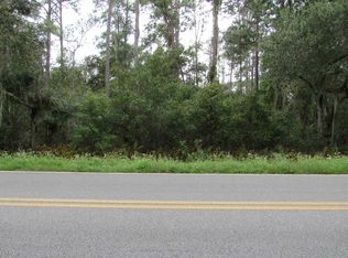 0 Jim Bryant Rd E, East Palatka, FL 32131