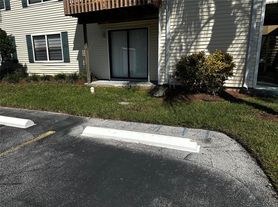 124 Loblolly Ct, Oldsmar, FL