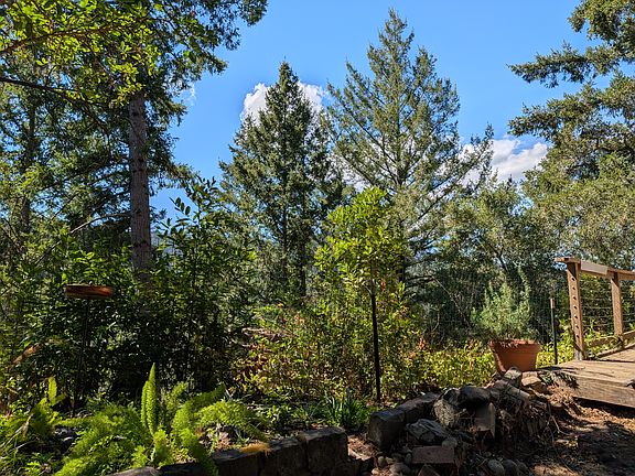 View from yard