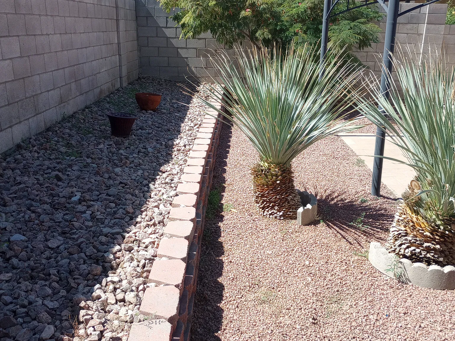 2 bed, 1125 sqft, $1,650 — Photo 4