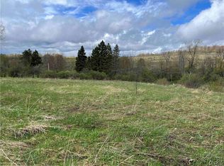 0 Healy Rd, Franklinville, NY 14737