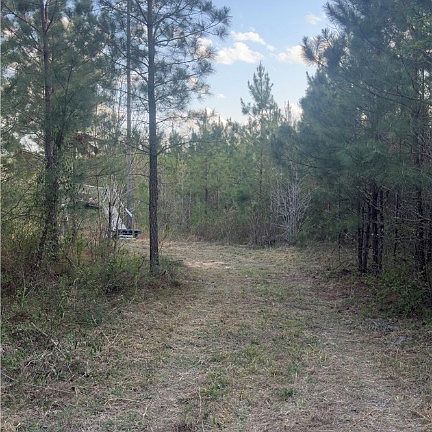 5th image of 0 Loman Rd Lot 19