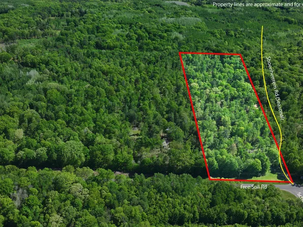 PARCEL E Free Soil Rd #A, Free Soil, MI 49411
