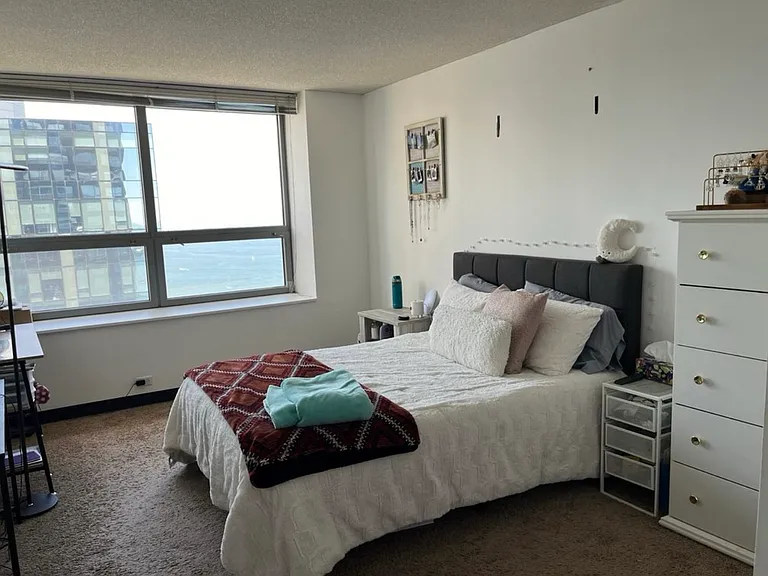 474 N Lake Shore Dr #5103 — Photo 5