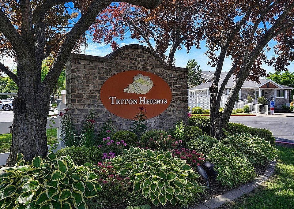 Welcome to Triton Heights!