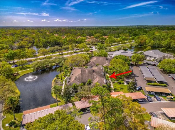 3350 Mermoor Dr #1202, Palm Harbor, FL 34685