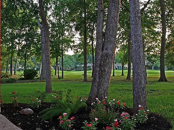 This is an Evening View  From the Patio Showing the Huge Back Yard That is Heavily Wooded With Beautiful Mossy Elms. This is Just One of Many Fabulous Views This Home Has to Offer.