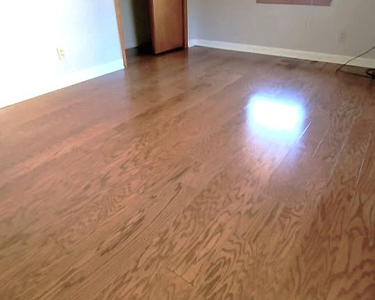 5th image of 151 Petticoat Ln