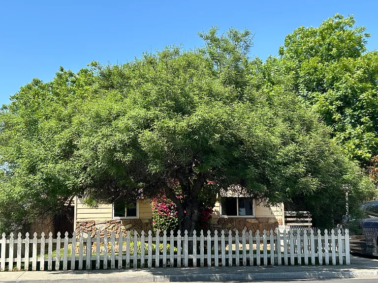 608 E Florinda St — Photo 17