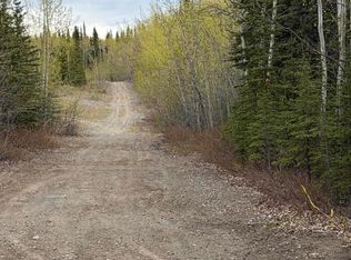 Mile 89 Richardson Hwy, Copper Center, AK 99573