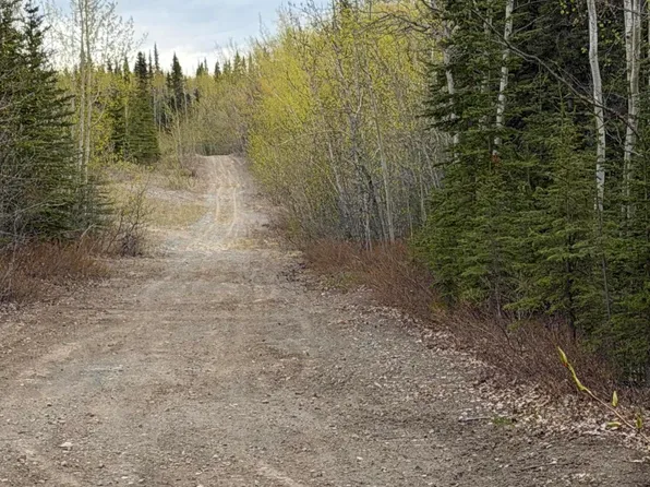 Mile 89 Richardson Hwy, Copper Center, AK 99573