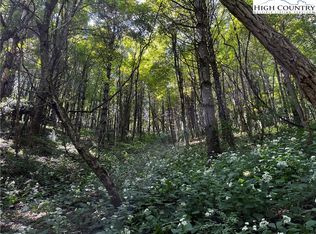 Tbd Milton Moretz Rd, Boone, NC 28607