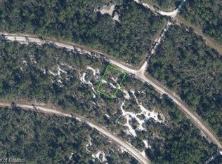 1148 Redbird St, Lake Placid, FL 33852