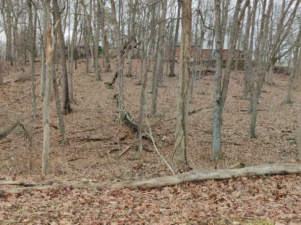 LOT 149 Breer Ct, Bloomfield Hills, MI 48302