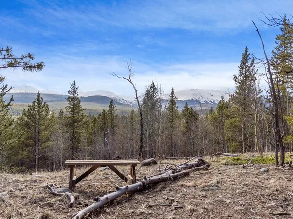 Tbd Ponderosa Rd, Alma, CO 80420