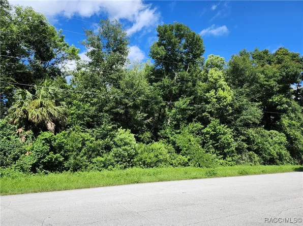 8841 N Golfview Dr, Citrus Springs, FL 34434