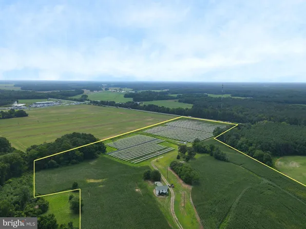 7235 Sixty Foot Rd, Pittsville, MD 21850