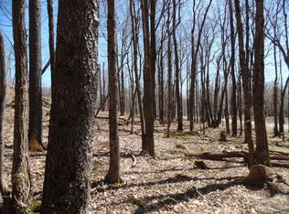 6183 Cass Rd, Slatyfork, WV 26291