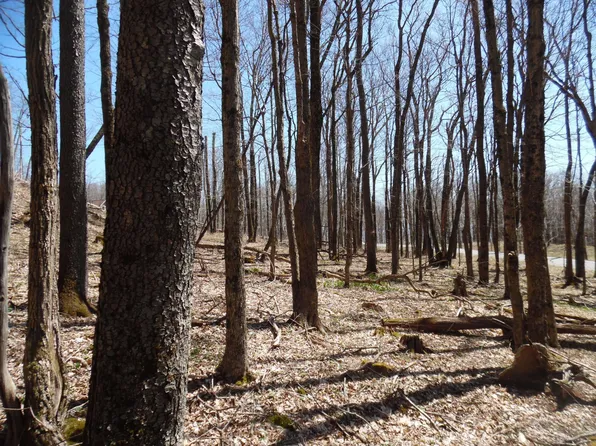 6183 Cass Rd, Slatyfork, WV 26291