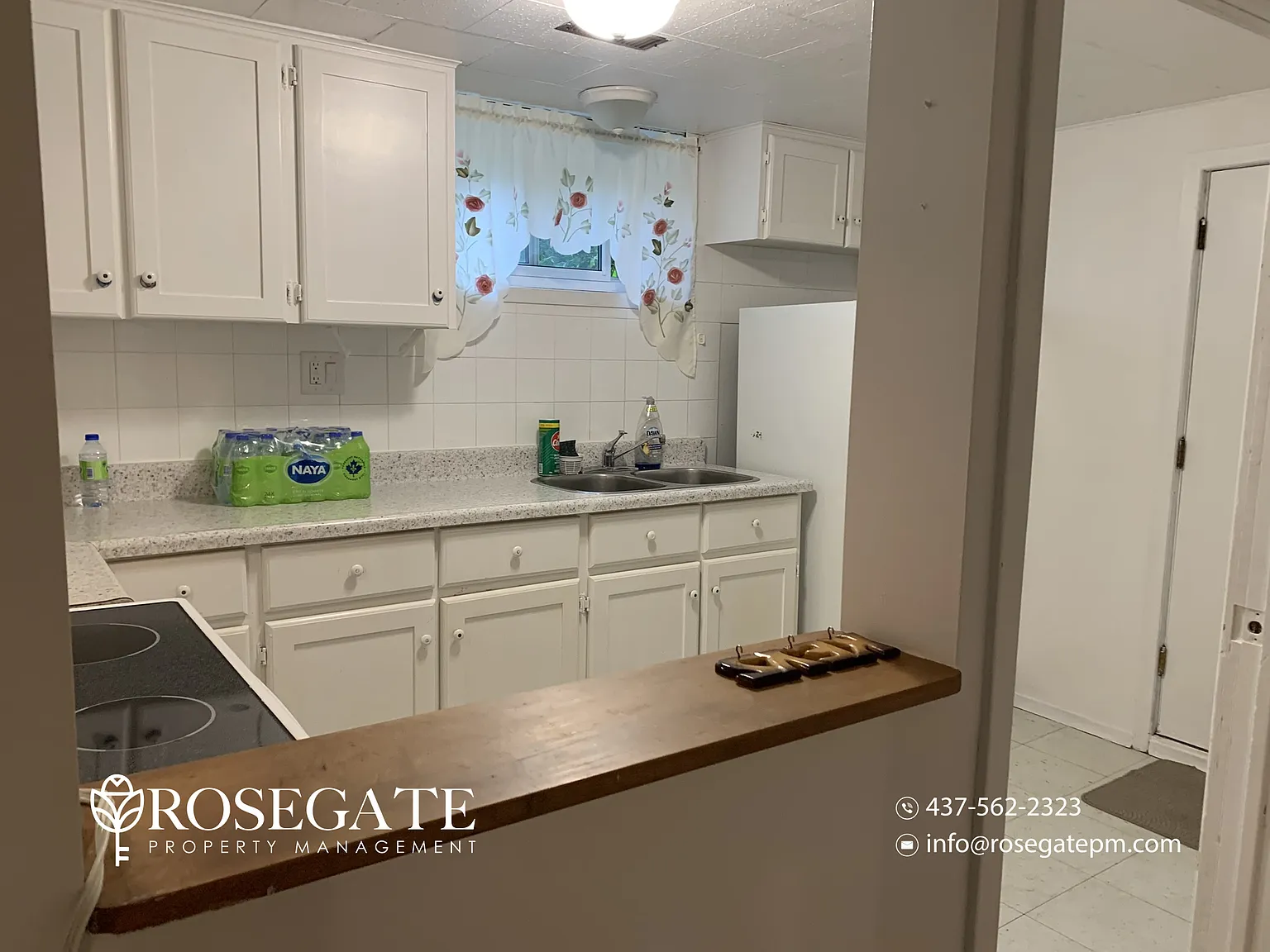 15 Joy Court Hamilton — Photo 4