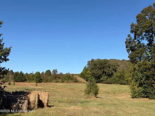 4 SW Boundary St, Holly Springs, MS 38635