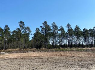 9210 W Highway 19 LOT 2, Loris, SC 29569