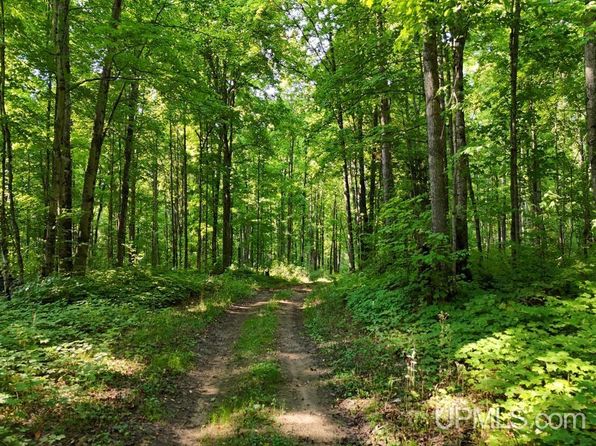 0 Highway 58 #H, Munising, MI 49862