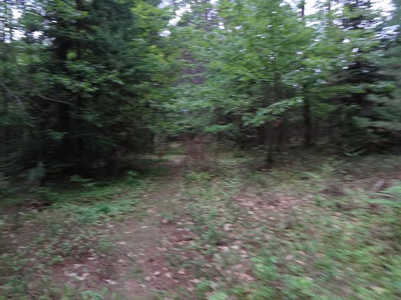 3rd image of Plantation Pines Dr