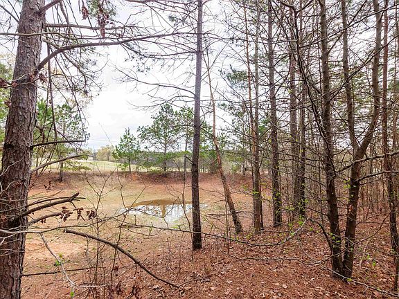 5th image of Tr2 County Rd #2182