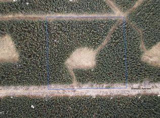 12 Boreal Frst, Tok, AK 99780