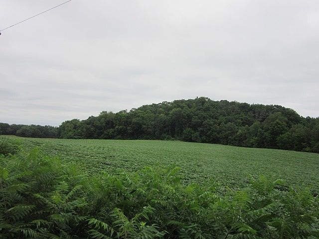 2nd image of Oak St