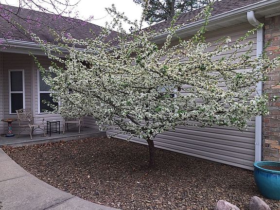 covered front porch
