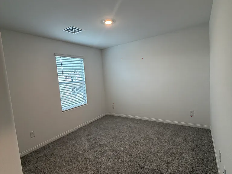 1107 Saffron Toucan Ln — Photo 19