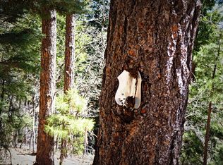 1500 E Forest Service Rd #81, Prescott, AZ 86303