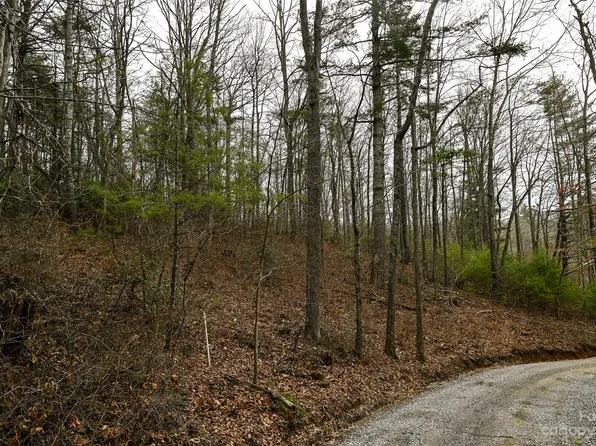 Wykle Rd, Asheville, NC 28805