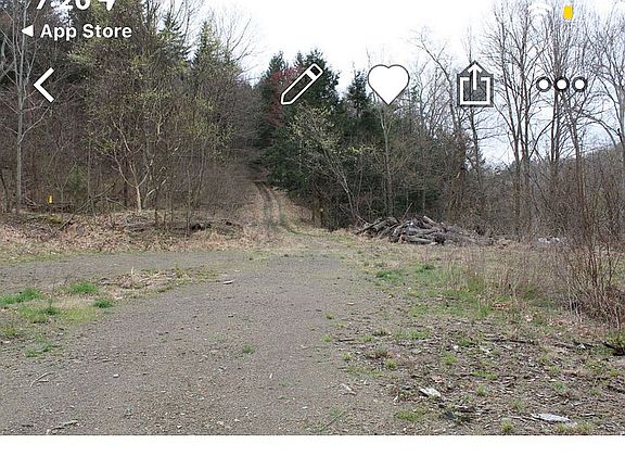 5th image of 113 Kent Ln