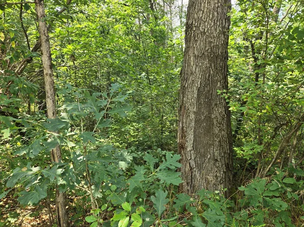 5763 S Broadway Ave, Idlewild, MI 49642