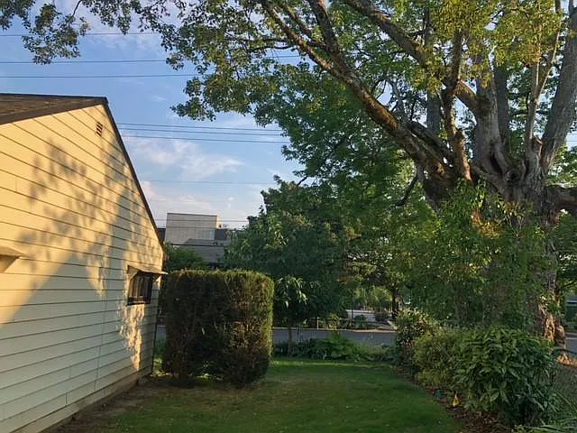 257 C Avenue — Photo 2
