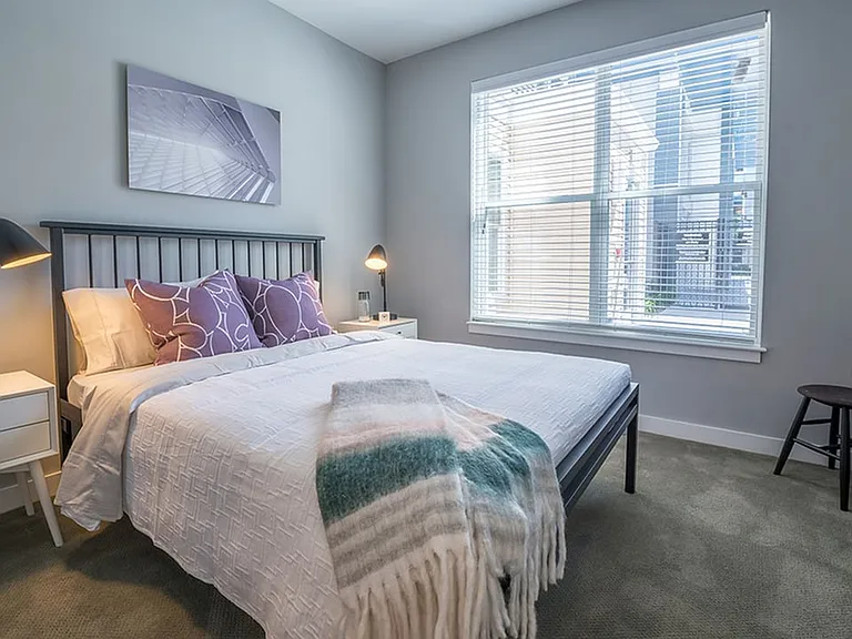 Spacious bedroom with plush wall-to-wall carpeting