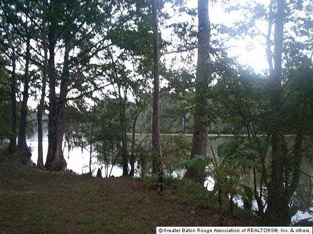 2nd image of 19780 Louisiana Trace Rd
