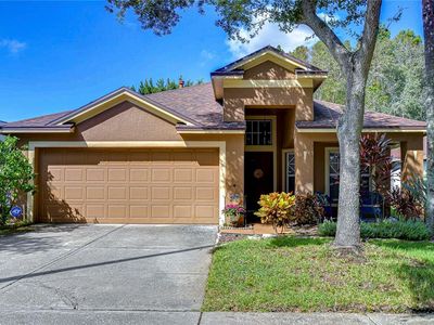 10222 Woodford Bridge St, Tampa, FL, 33626