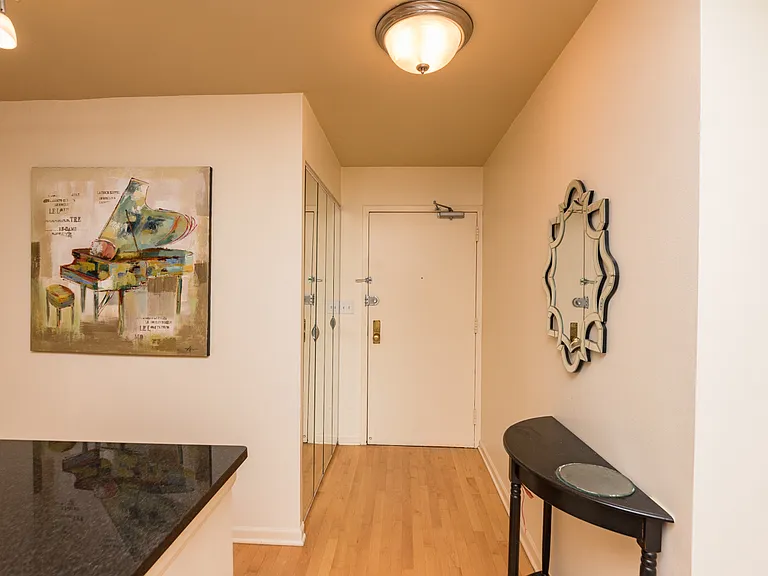 222 E Pearson St #706 — Photo 7