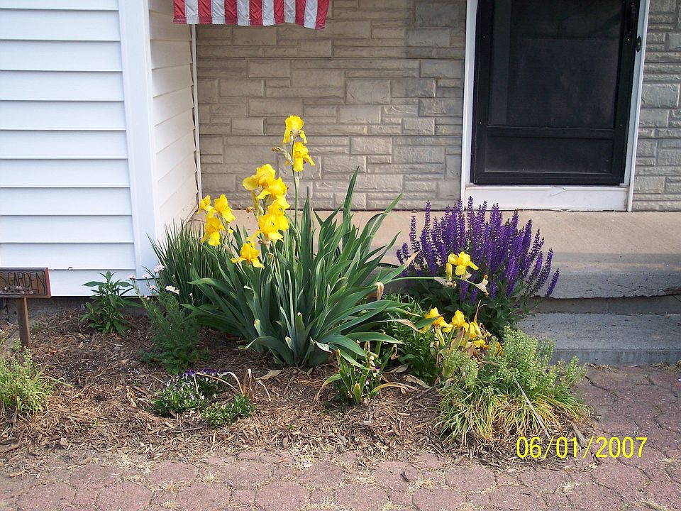 Perenial Garden