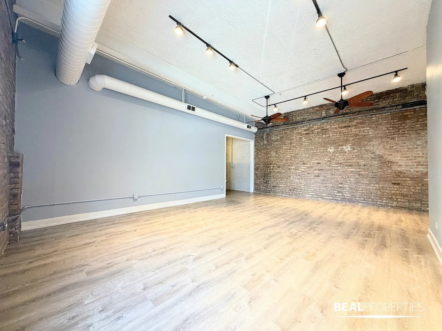 Damen5 — Photo 4
