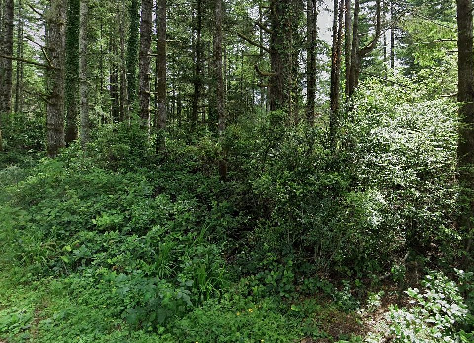 1st image of Hemlock St