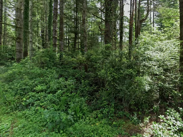 Hemlock St, Florence, OR 97439