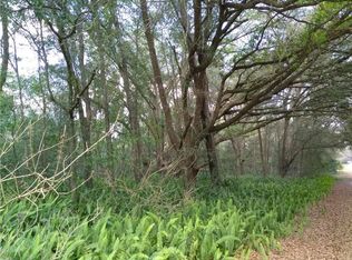 Tba Se 27 Ct, Summerfield, FL 34491