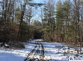 0 Route 417 #23, Little Genesee, NY 14754